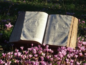 Groupe d’étude biblique du Revoyet – Programme 2022-2023
