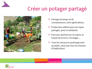 Lancement du Projet Potager