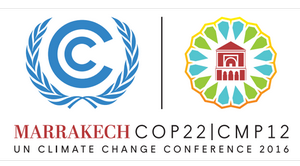 COP 22 : Quels enjeux ?