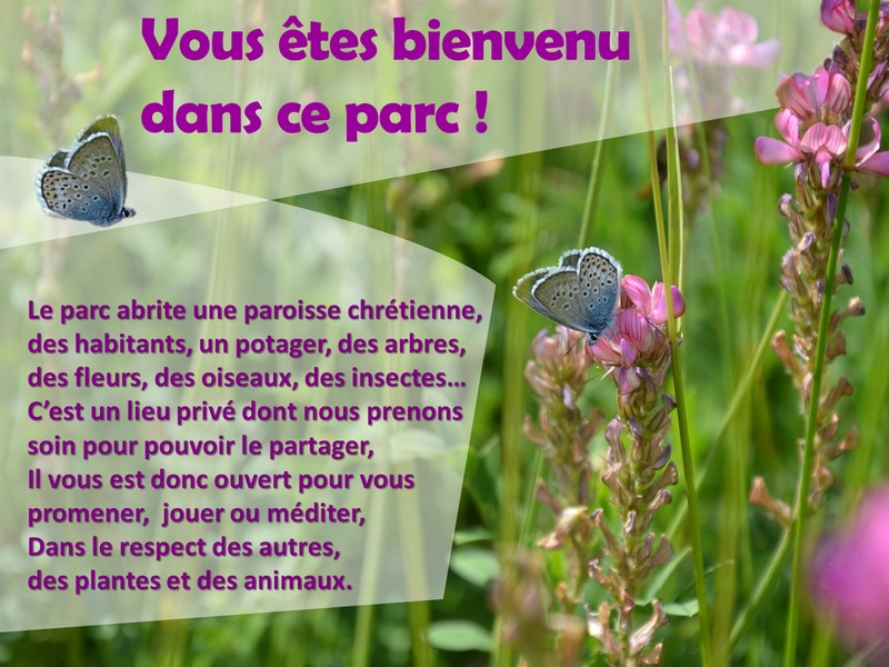 Bienvenu dans notre parc !