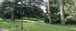 Focus sur l’entretien du parc et des jardins