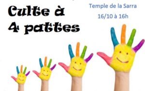 Reprise des cultes à quatre pattes dimanche 16 Octobre
