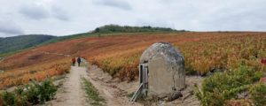 Quelle rentrée après l’été ?
