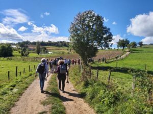 Première marche de la découverte en photo