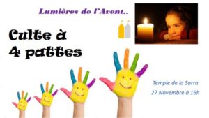 Culte du soir « à quatre pattes » en Novembre