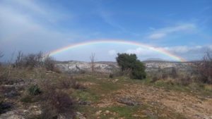 Lettre de nouvelles : Giboulées de mars