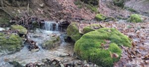 Lettre de nouvelles du 7 Janvier 2026 : Vœux de bonheurs et de bénédictions